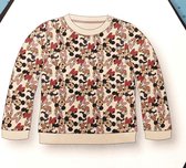 Disney- Mickey en vrienden - Sweater - maat 104/110