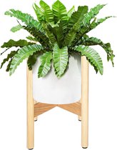 Springos Plantenstandaard | Plantenhouder | Plantenkruk | Hout | 1 Stuk | 35 cm | Neutraal