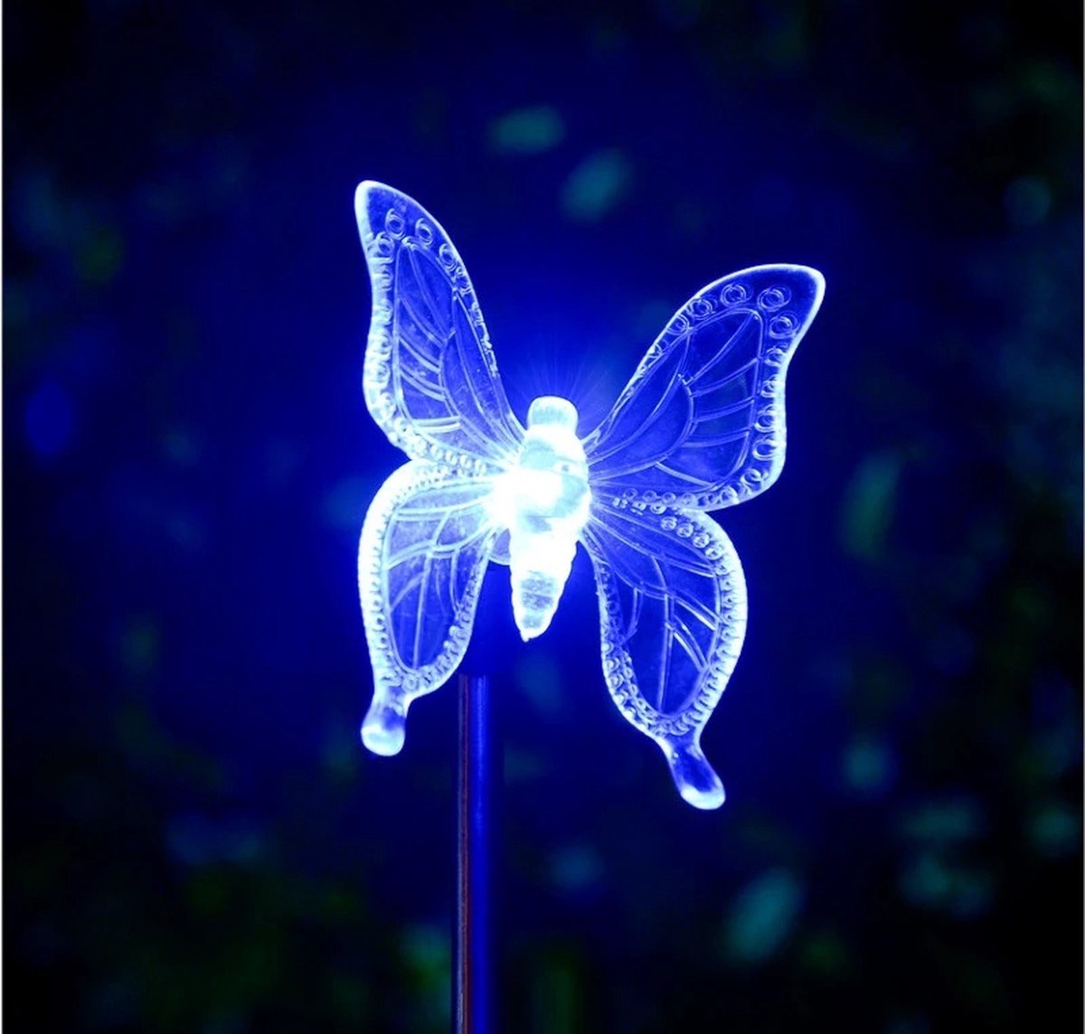 Vlinderverlichting