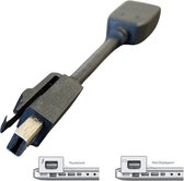 Thunderbolt / Mini Displayport naar Displayport female adapter voor o.a. Macbook, Macbook Pro, Macbook Air