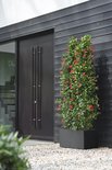 Zwarte vierkante plantenbak met bloeiende rode plant bij een moderne zwarte deur.