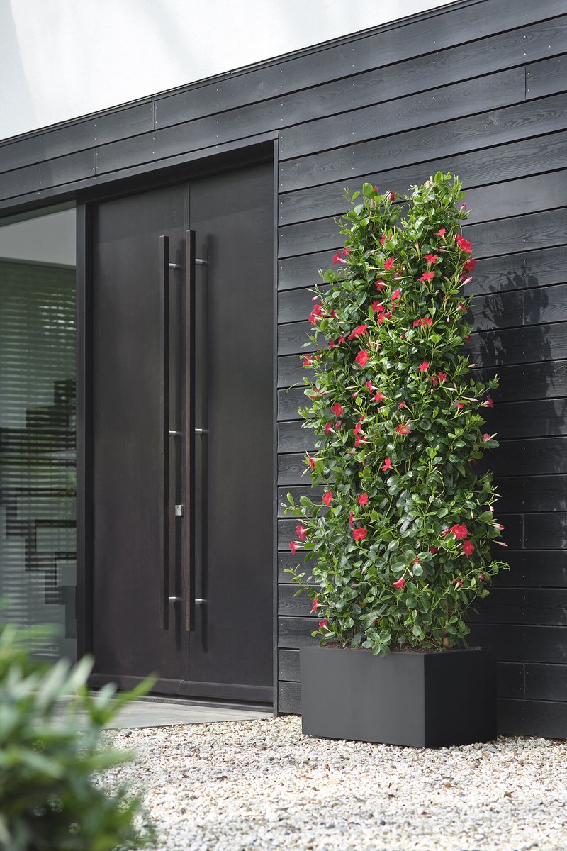 Elho Vivo Next Lang 60 - Indoor & Outdoor Rectangular Planter