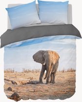 Y-NOT - Dessert Elephant - Dekbedovertrek - Katoensatijn - Eenpersoons - 140x200/220 cm - Multi