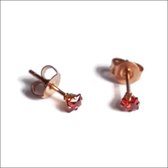 Aramat jewels ® - Rosékleurige oorbellen zirkonia zweerknopjes rood chirurgisch staal 3mm