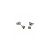 Aramat jewels ® - Zweerknopjes parel licht groen chirurgisch staal zilverkleurig 4mm