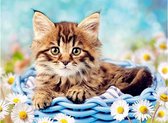 Daimond Painting Katten – 55 x 70 cm – Schilderij #2