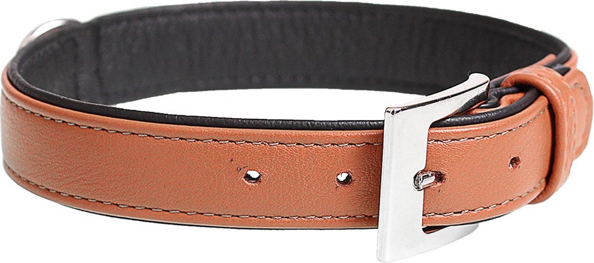 Duvoplus - Halsband Voor Dieren - Hond - Popular Leder Halsband 46-54cm/32mm Cognac - 1st