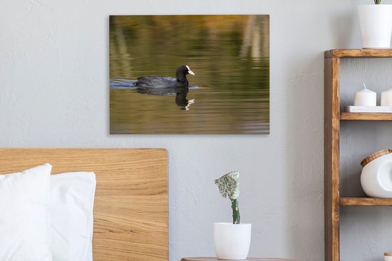 Tableau sur toile Foulque dans l'eau - 40x30 cm - Décoration murale
