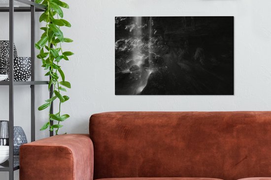 Tableau sur toile Soleil à travers les feuilles - paysage noir et blanc - 60x40 cm - Décoration murale