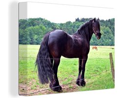 Canvas Schilderij Donkerbruin Fries paard - 80x60 cm - Wanddecoratie