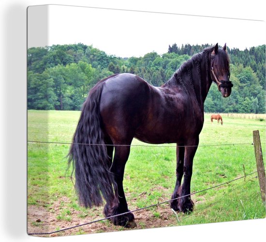 Canvas Schilderij Donkerbruin Fries paard - 80x60 cm - Wanddecoratie