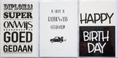 Rijbewijs + Diploma + Happy Birthday – 3 Wenskaarten - 12 x 17 cm – RIJB-301