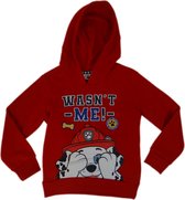 PAW Patrol trui Marshall rood - Kindertrui Paw Patrol - Sweater kinderen - Hoodie kinderen - Trui voor jongens - Trui voor meisjes