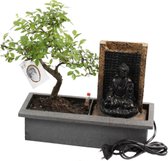 Bonsaiboom Met Waterval – Buddha Waterval – Easy Care System – Willekeurige Bonsaiboom