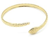 Armband Dames - Bangle Slang - RVS - One Size - Goudkleurig