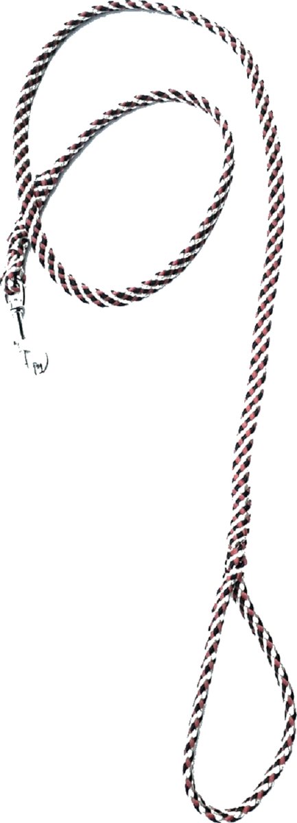 Abany quality design – bruin - leiband met musketon - haak - soepele lichte hondenlijn - looplijn - speurlijn - uitlaatlijn – lijn voor hondentuigje – hondenriem - 180 cm – 7r21005 - bruin