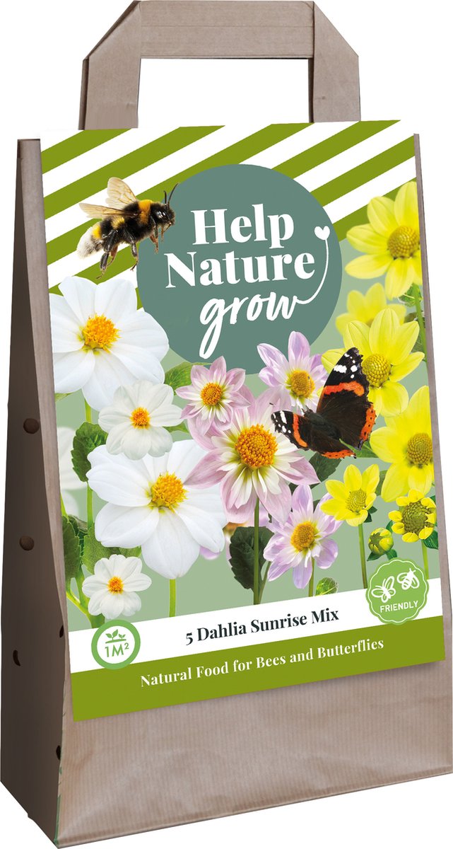 Jub Holland - Dahlia Sunrise Mix - 5st bloembollen in draagtas - Help Nature Grow