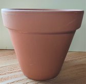 Deroma - bloempot- terracotta- potmaat 20