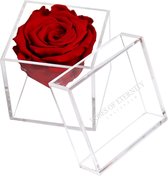 Roses of Eternity - Echte roos in Acryl box - Romantisch - Cadeau voor vrouw - vriendin - haar - liefdes - huwelijk - Valentijn - rood