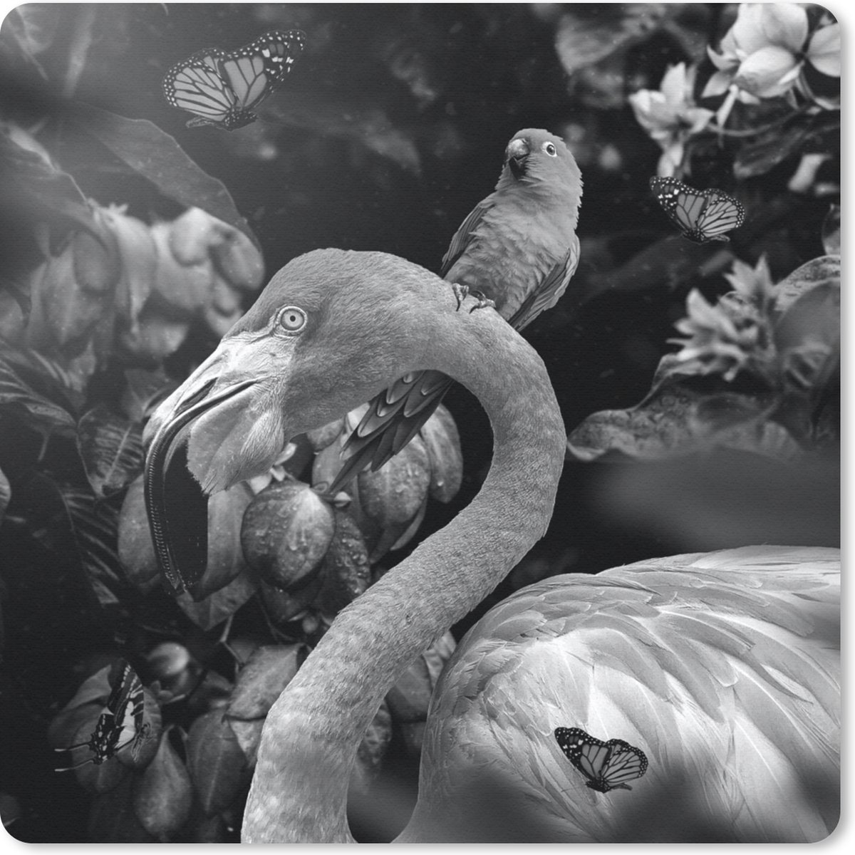 Muismat 20x20 cm - Mousepad Flamingo - Jungle - Papegaai - Zwart - Wit - Muismatten