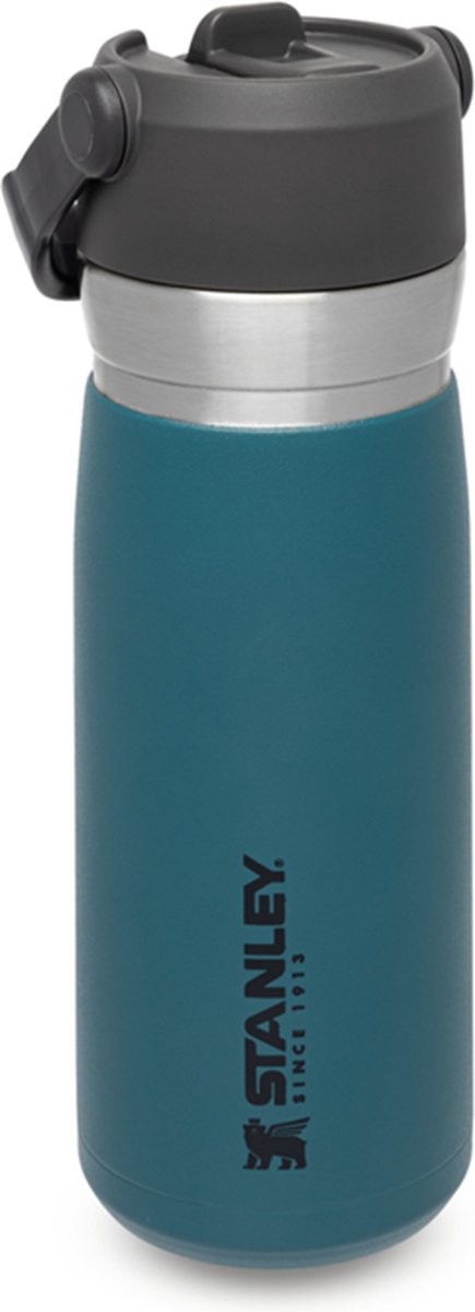 STANLEY 22 oz Lagoon Blue and Gray Insulated Stainless Steel Water Bottle  with Straw and Flip-Top Lid - Yahoo Shopping