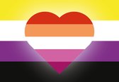 Sticker - Vlagsticker - Non Binary & Lesbisch - LGBT+ - Regenboog
