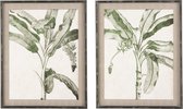 J-Line Wanddecoratie Bananenboom Hout/Glas Zwart/Groen Assortiment Van Twee