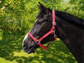 Horze nylonhalster - rood - pony