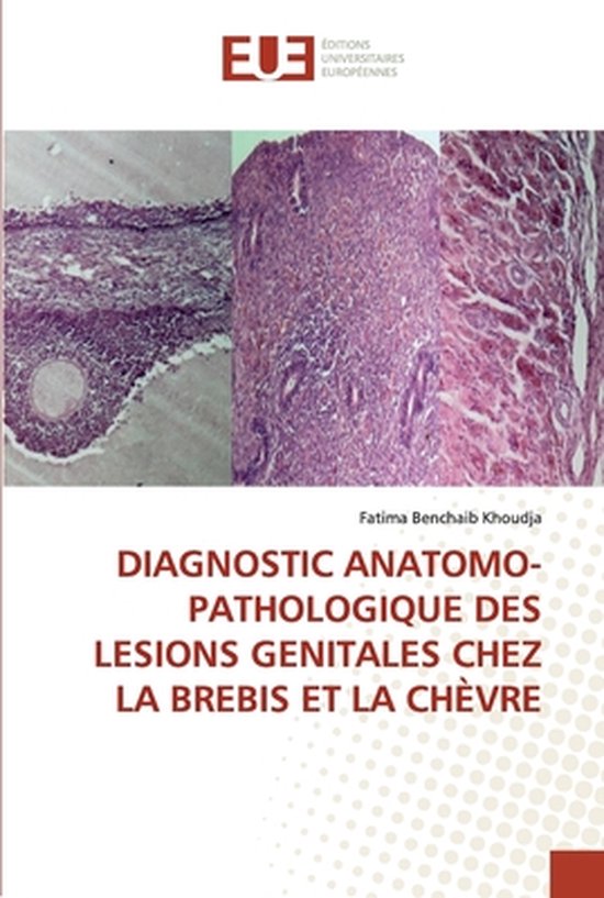 Diagnostic Anatomo-Pathologique Des Lesions Genitales Chez L ... - cover