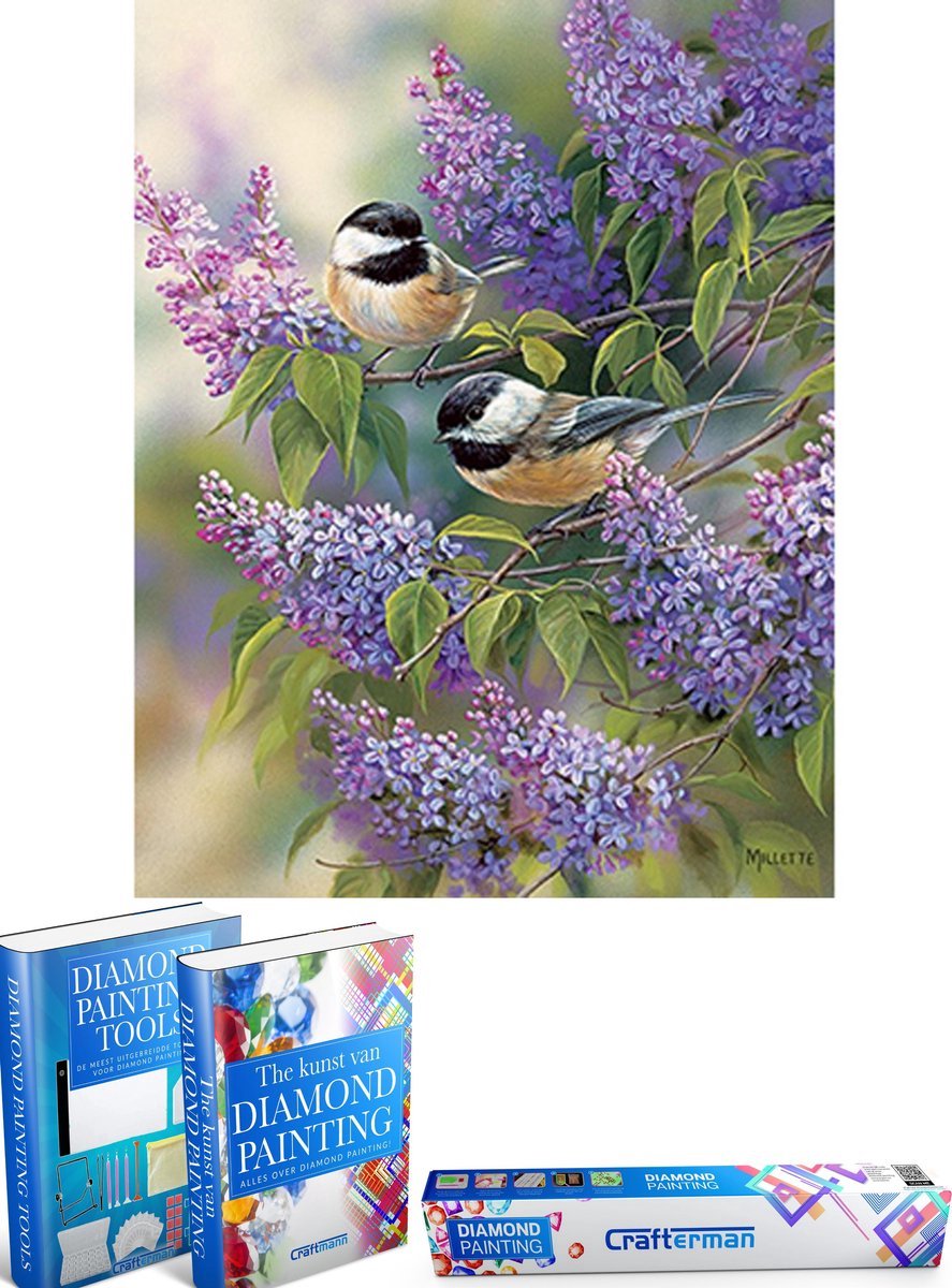 Crafterman™ Diamond Painting Pakket Volwassenen - Prachtige vogels op bloemen - 30x40cm - volledige bedekking - RONDE steentjes - 42 verschillende kleuren - hobby pakket - Met tijdelijk 2 E-Books