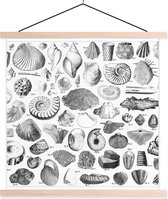 Posterhanger incl. Poster - Schoolplaat - Illustraties van fossielen uit verschillende tijdperken - 40x40 cm - Blanke latten