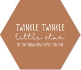 Muurhexagon twinkle twinkel terra Dibond - Aanbevolen / 24 x 20 cm