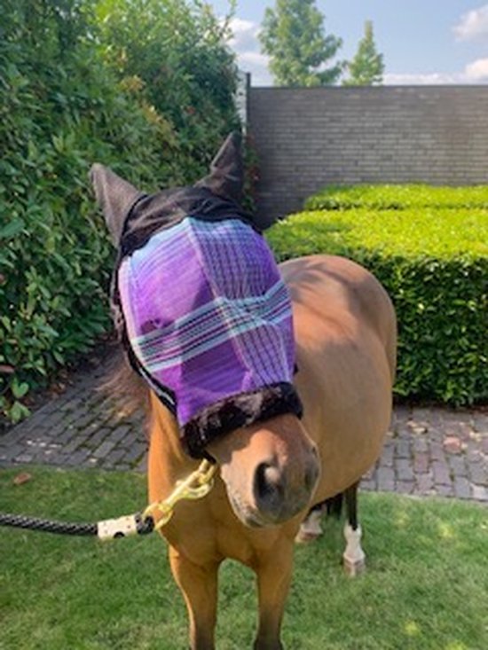 Bruine pony met paars geruit vliegenmasker met oren, zwarte rand en flanellen voering.
