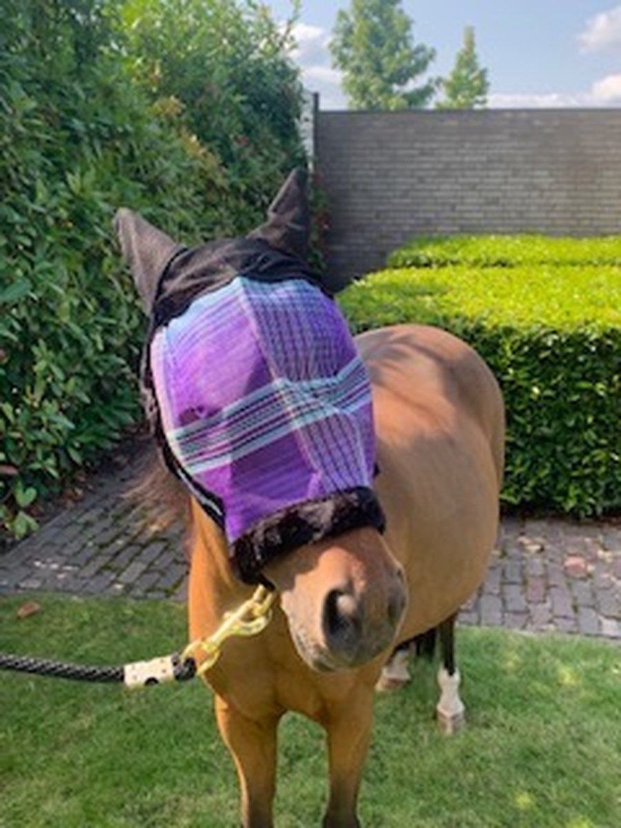 Kensington Vliegenmasker met oren Deluxe Lavender Mint pony