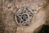 Celtic Tree - Canvas schilderij - Pentagram op Stam - 40x60cm - Wanddeco - Premium Canvas - Boom - Wicca - Hekserij - Pagan - Heidens - Symbool - Schors - Bruin - Pentagram