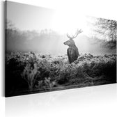 Schilderij - Black and White Deer.