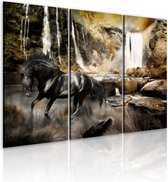 Schilderij - Black horse and rocky waterfall.