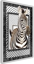 Zebra in the Frame.