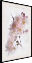 Scent of Spring