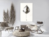 Silvery Leaf