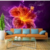 Fotobehang - Fiery flower in purple.