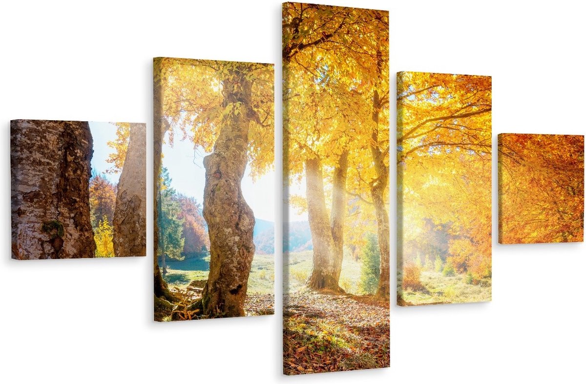 karo-art Schilderij - Herfst in het bos, 5luik, premium print Multikleur