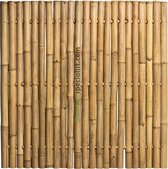 Bamboespecialist.com - Giant Jumbo 180x180 Naturel Bamboe scherm tuinscherm bamboescherm