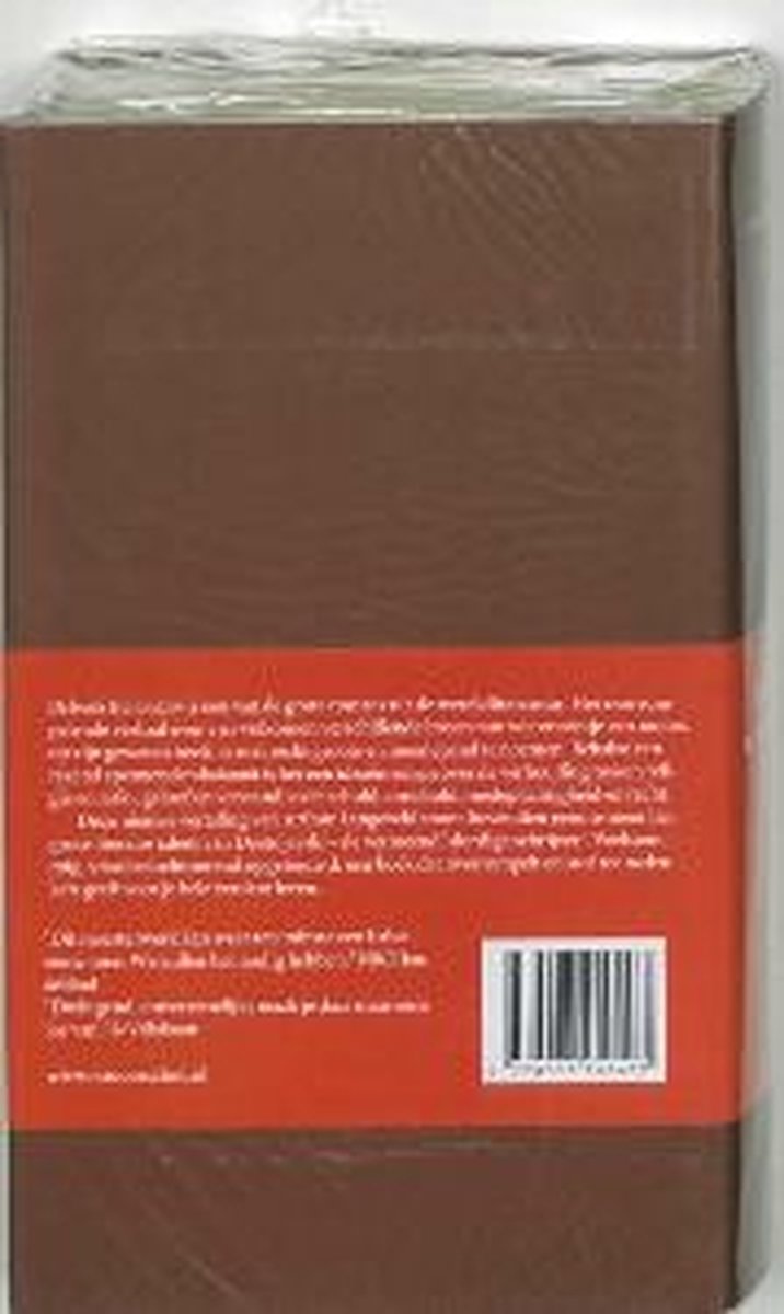 Achterkant van De broers Karamazov in Russische Bibliotheek-serie.