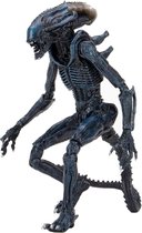 Arachnoid Alien - Aliens - Neca - Action Figure