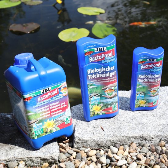 JBL BactoPond Bacteria 250ml, Bactéries pour soutenir la capacité d'auto-nettoyage du bassin.