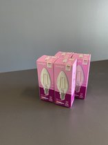LED lamp 2.5W 4 stuks Eurolight