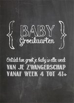 Huisje DEMICO - ZWANGER Babygroeikaarten - Mijlpaalkaarten voor tijdens de zwangerschap - 9 maanden fotokaarten