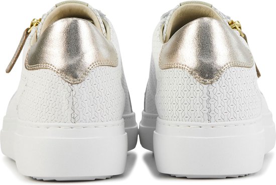 Leindia 83147 Groen - Schoenen Lage sneakers Dames € 39,99