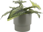 Lucy’s Living Luxe Bloempot RIBBED M Groen - ø 13 x 13.5 cm – hotel chique - binnen ––– accessoires – tuin – decoratie – bloemen – mat – glans – industrieel - droogbloemen